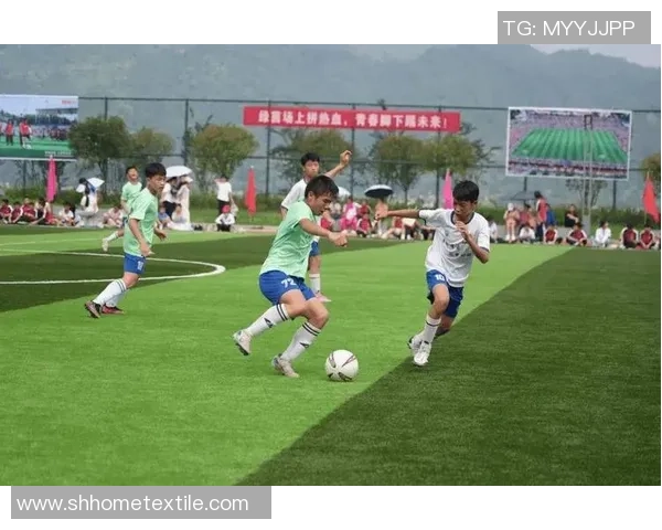 榕江足球明星阵容揭秘他们如何在绿茵场上闪耀光芒