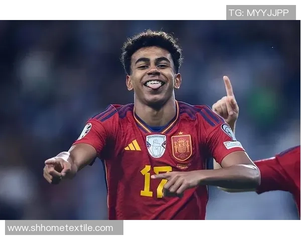 足球明星的个人资料与成就分析探讨